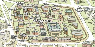 Карта Гарвардского университета